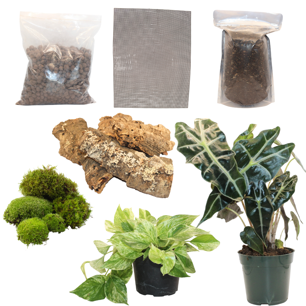 Bioactive Jungle Kit