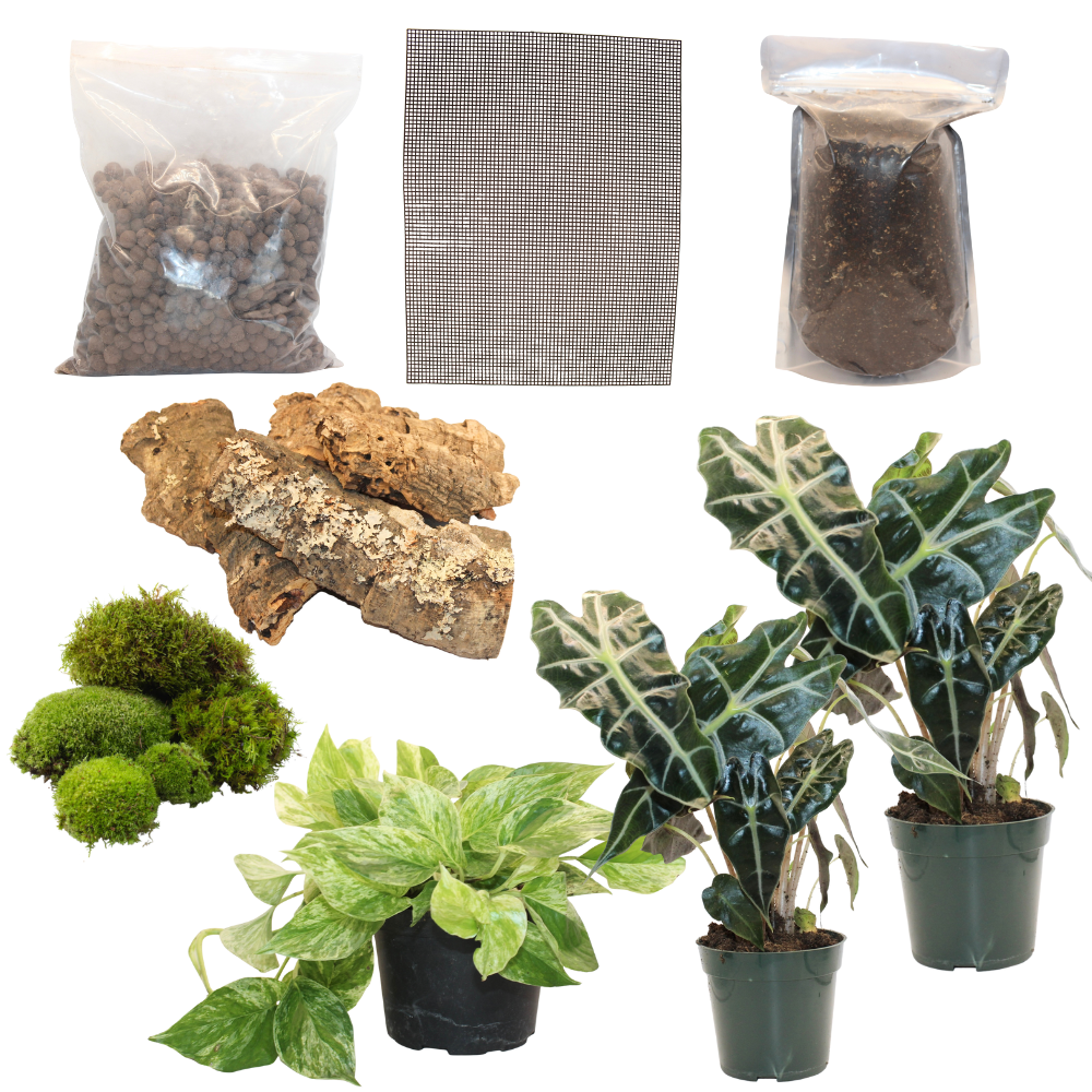 Bioactive Jungle Kit