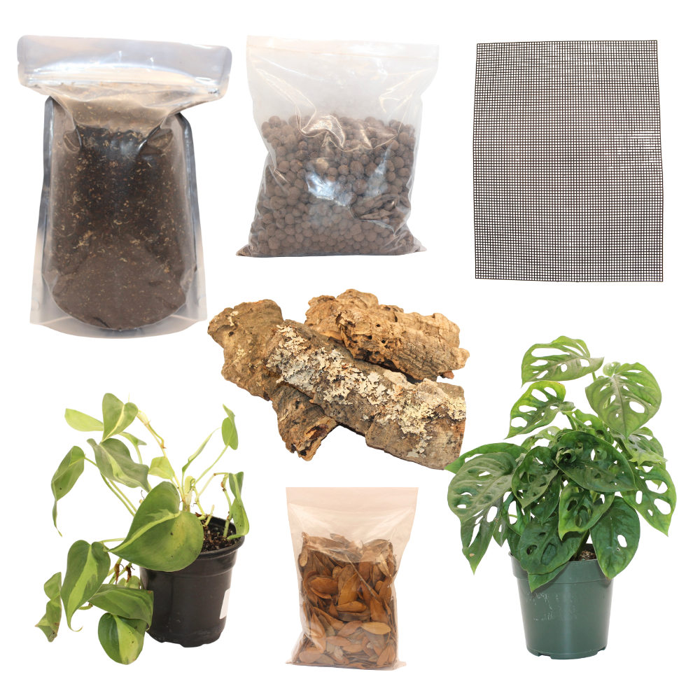 Bioactive Rainforest Kit