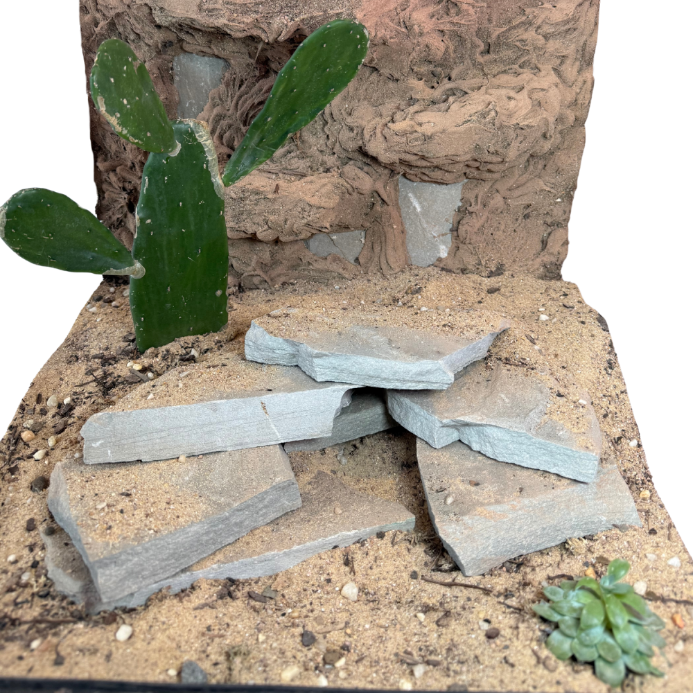 Bioactive Desert Kit