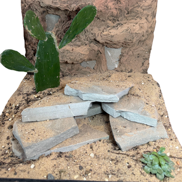 Bioactive Desert Kit